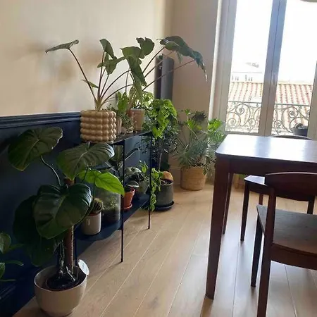 Le Pasteur -55m²- 2 Pieces Decoration D'architecte